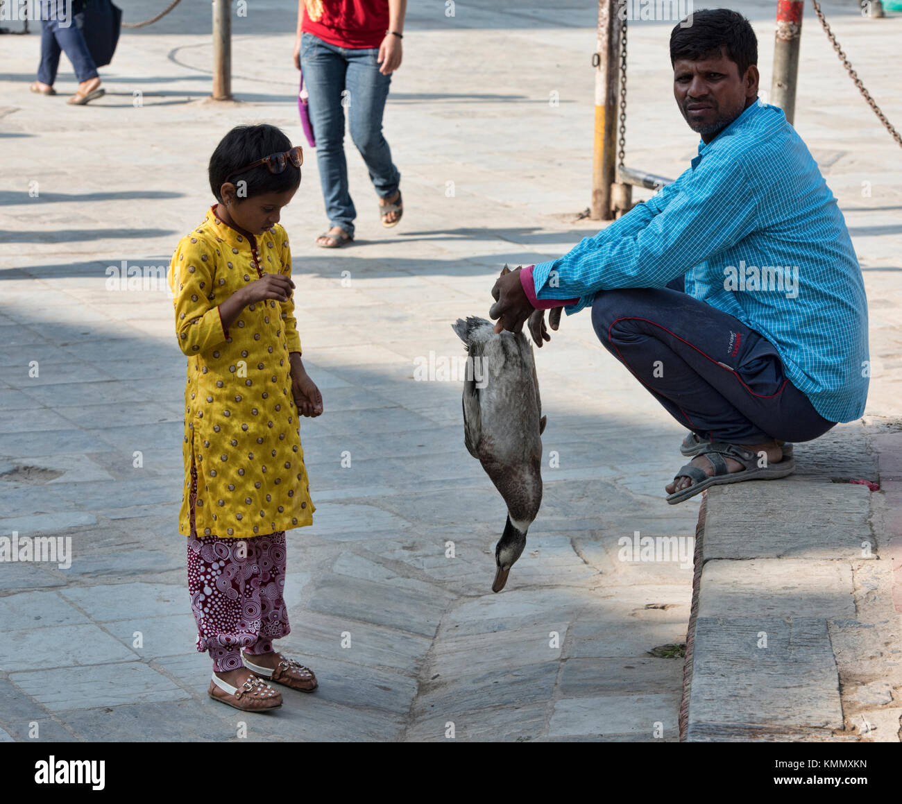 Staring at a duck, Durbar Square, Kathmandu, Nepal Stock Photo