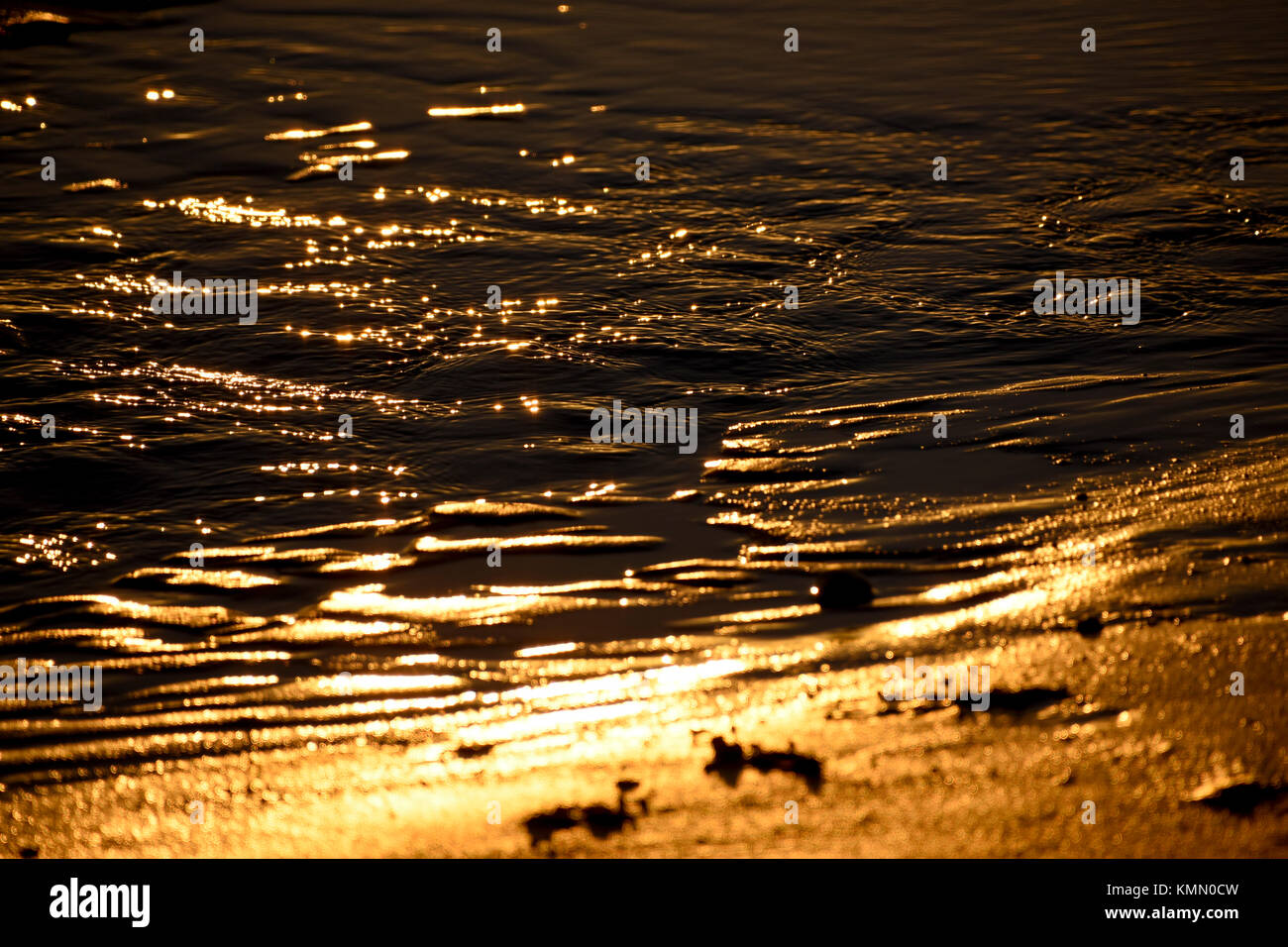Waves and the beach at sunset Stock Photo - Alamy