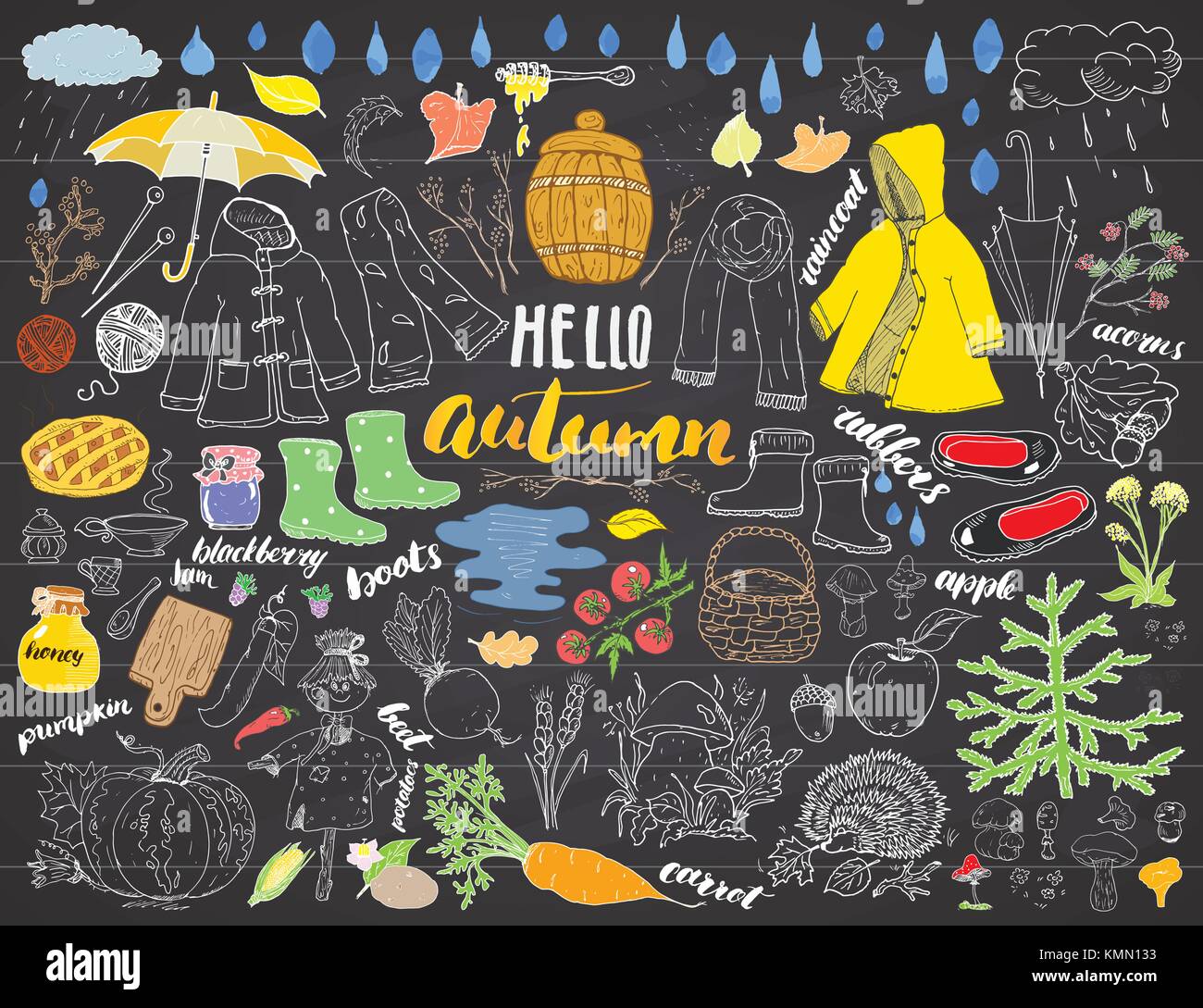 Autumn season set. Hand drawn doodles and lettering vector illustration ...