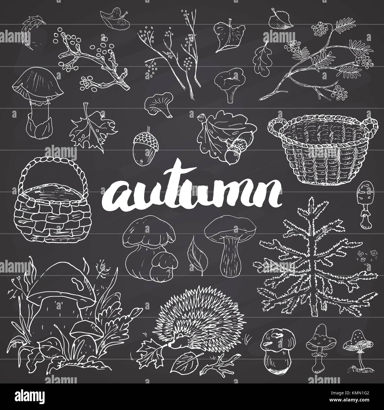 Autumn season set. Hand drawn doodles and lettering vector illustration ...