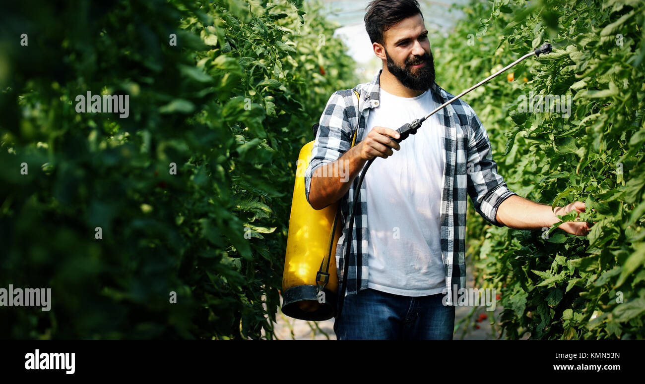 Young farmer protecting his plants with chemicals Stock Photo