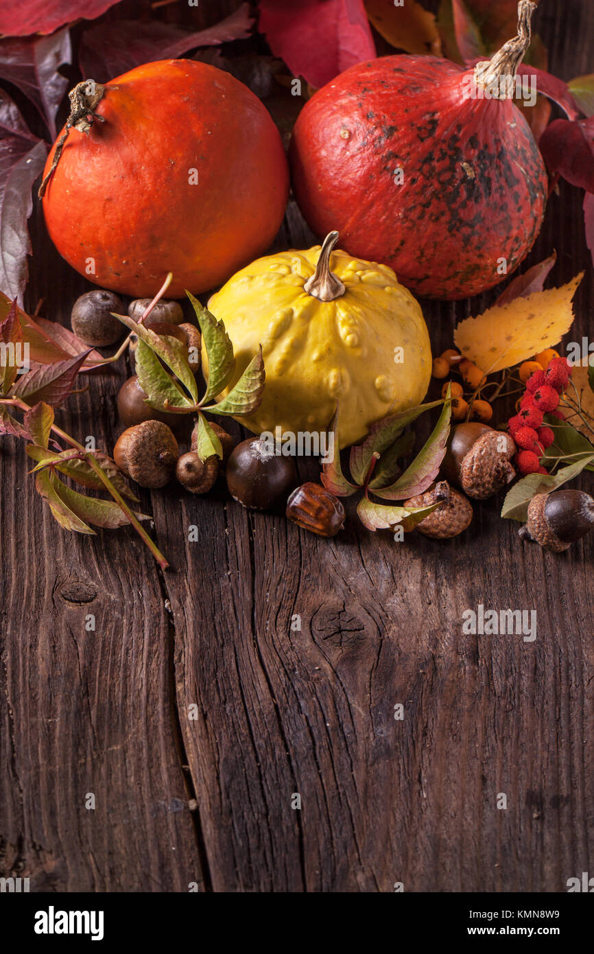 Background with colorful pumpkins with acorns and autumn leaves on old ...