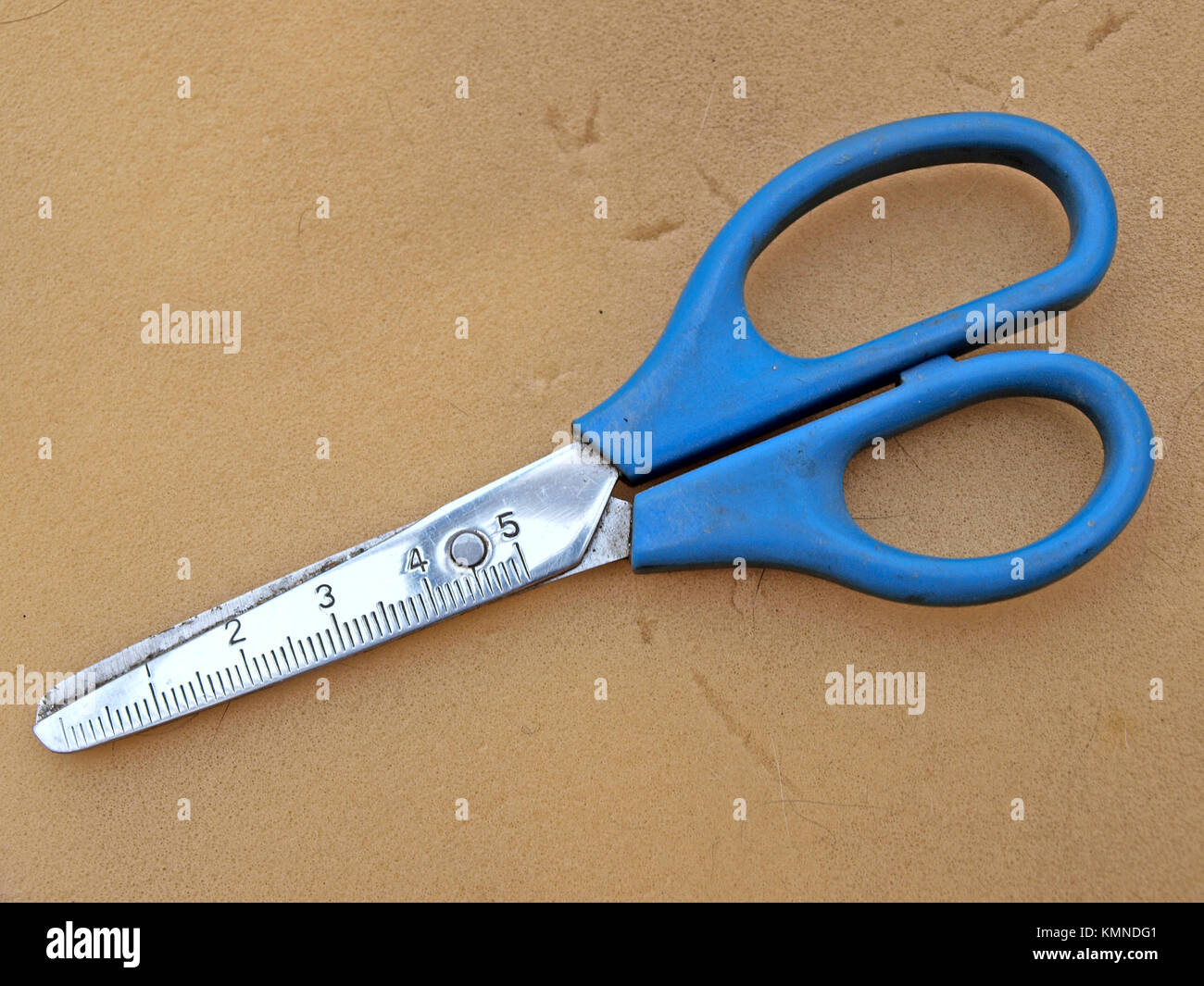 Scissors with centimeters ruler close up on foam rubber sheet Stock Photo