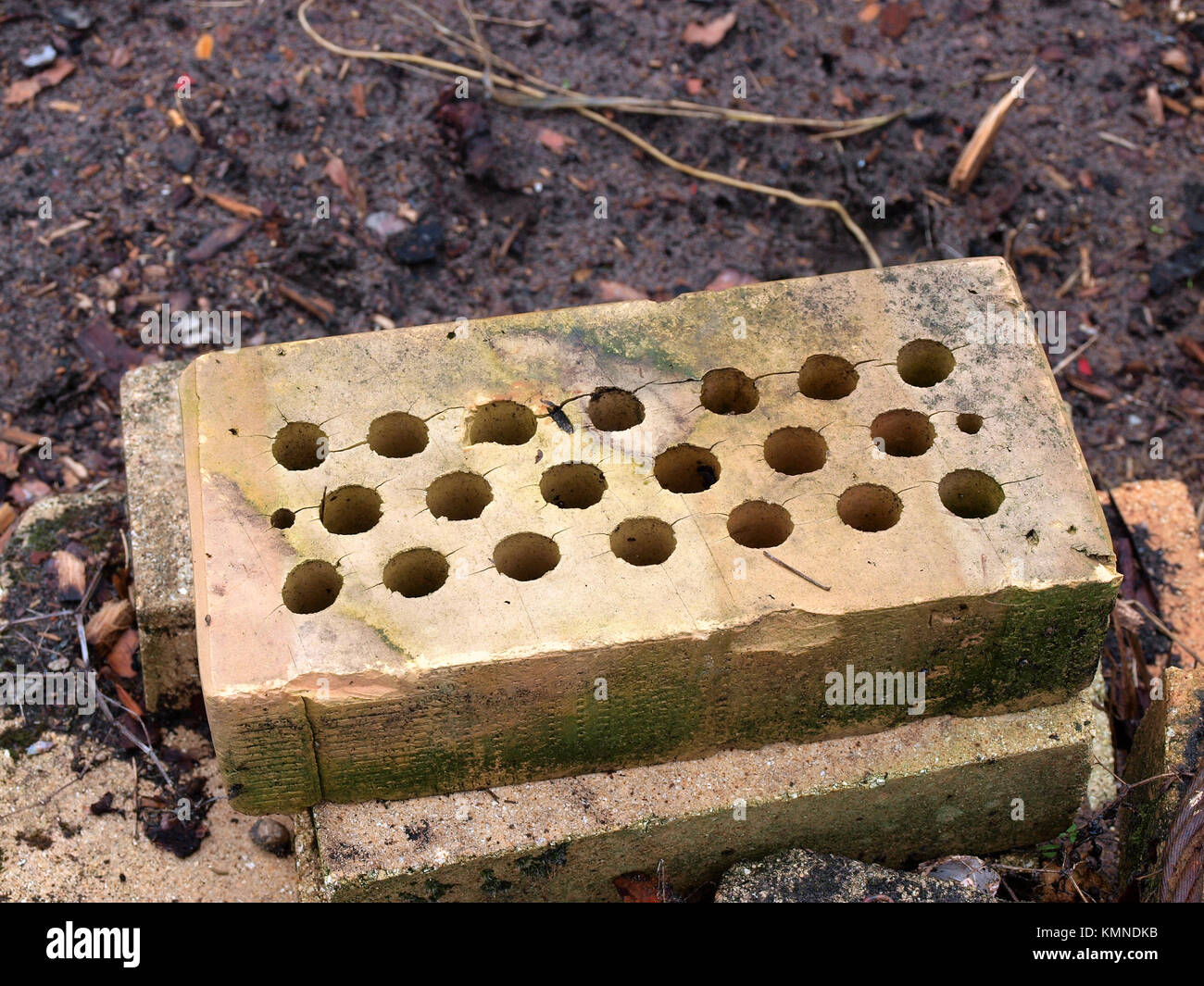 Stack of yellow ceramic perforated bricks with holes outdoor close up Stock Photo