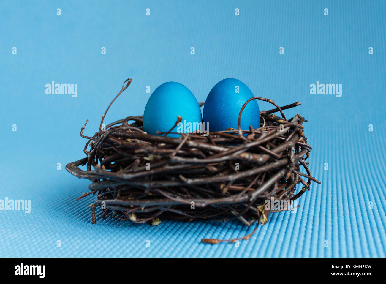 Nest egg and blue hi-res stock photography and images - Alamy