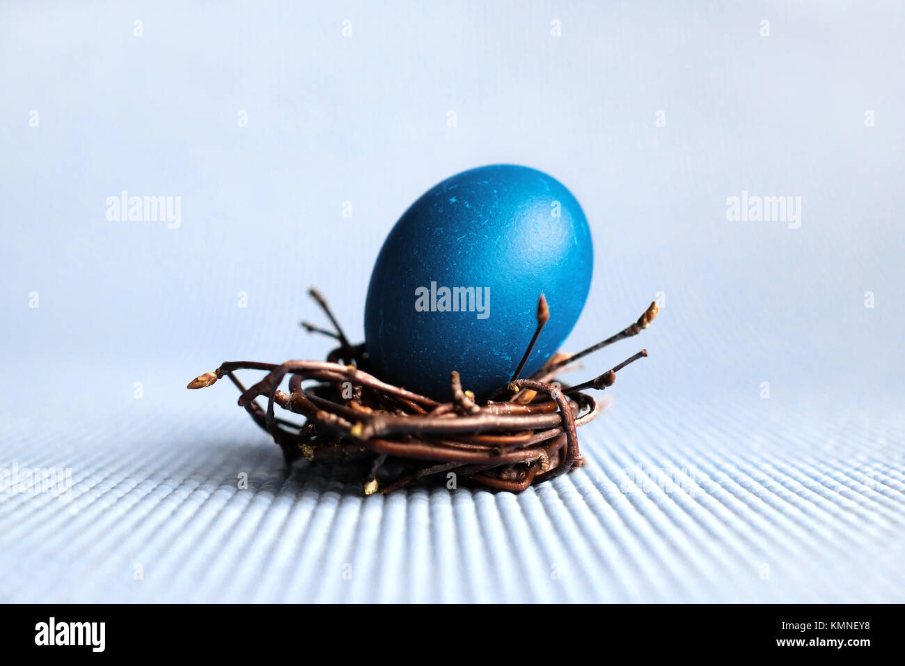 Easter egg in the nest on blue background Stock Photo - Alamy