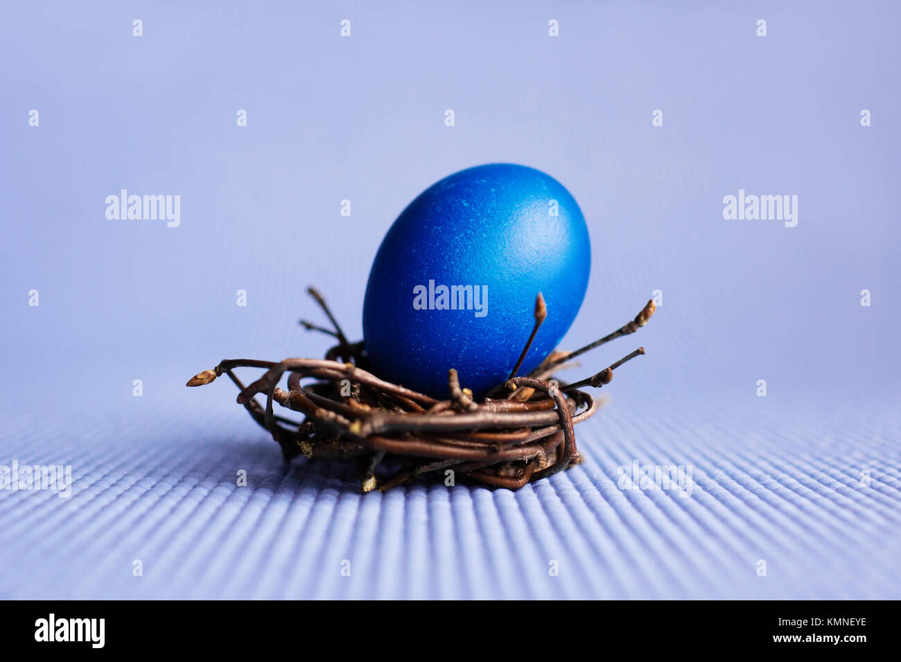 Easter egg in the nest on blue background Stock Photo - Alamy