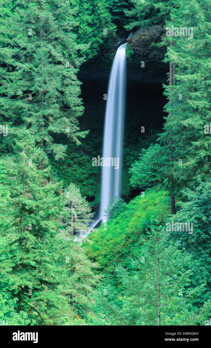 Waterfall. Silver Falls State Park. Oregon. USA Stock Photo Alamy