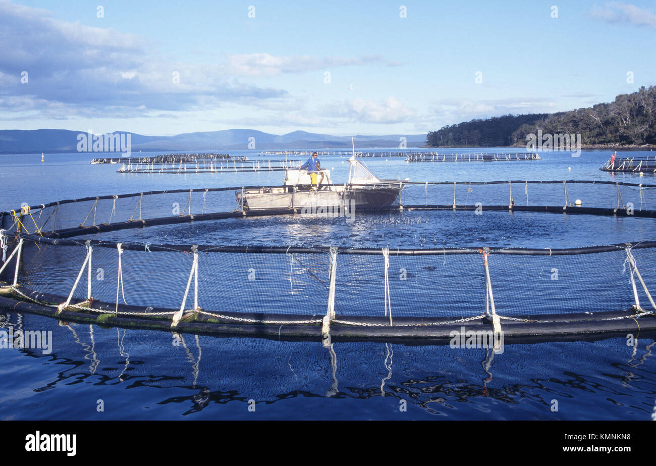 Fish farming australia hires stock photography and images Alamy