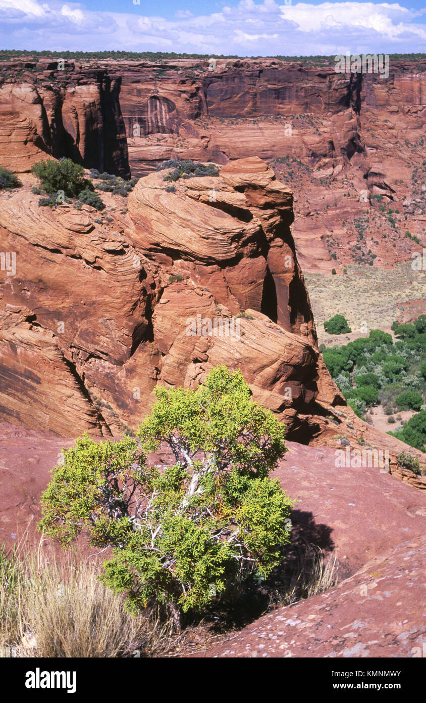 Landforms Canyon de Chelly National Monument. Arizona, USA Stock Photo