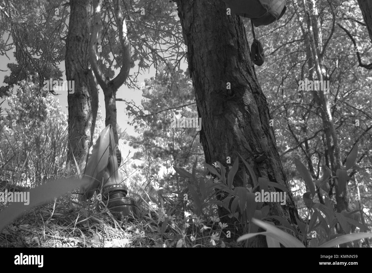 Gas mask Black and White Stock Photos & Images - Alamy