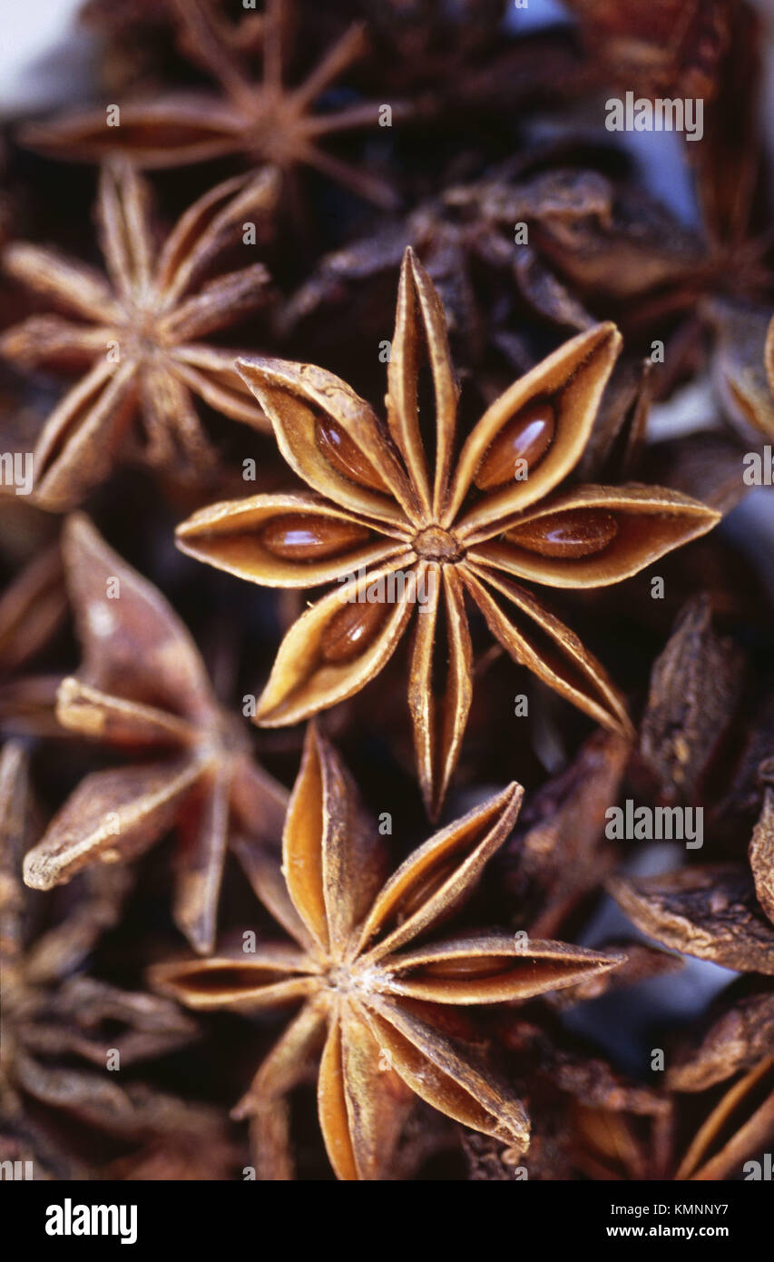Chinese star anise Stock Photo Alamy