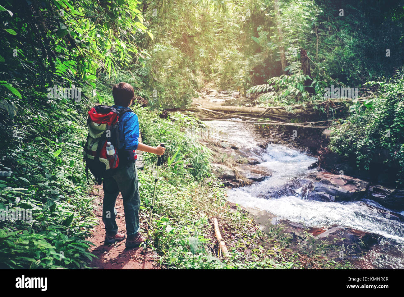 Tourist trail hiking in the forest Traveler Man with backpack crossing ...