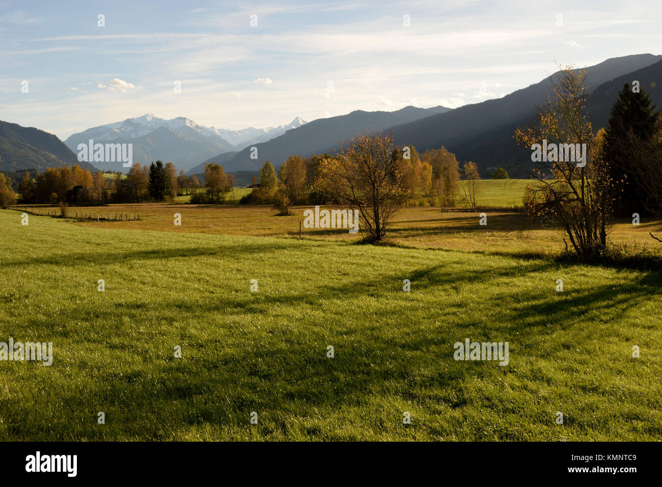 Moorland near Saalfelden with Hoher Tenn and Kitzsteinhorn, two peaks of Hohe Tauern mountain range, Pinzgau, Austria Stock Photo