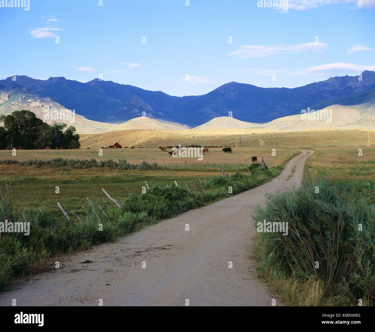Basque Ranch. Quinn River Valley. Humboldt county, Nevada. USA Stock