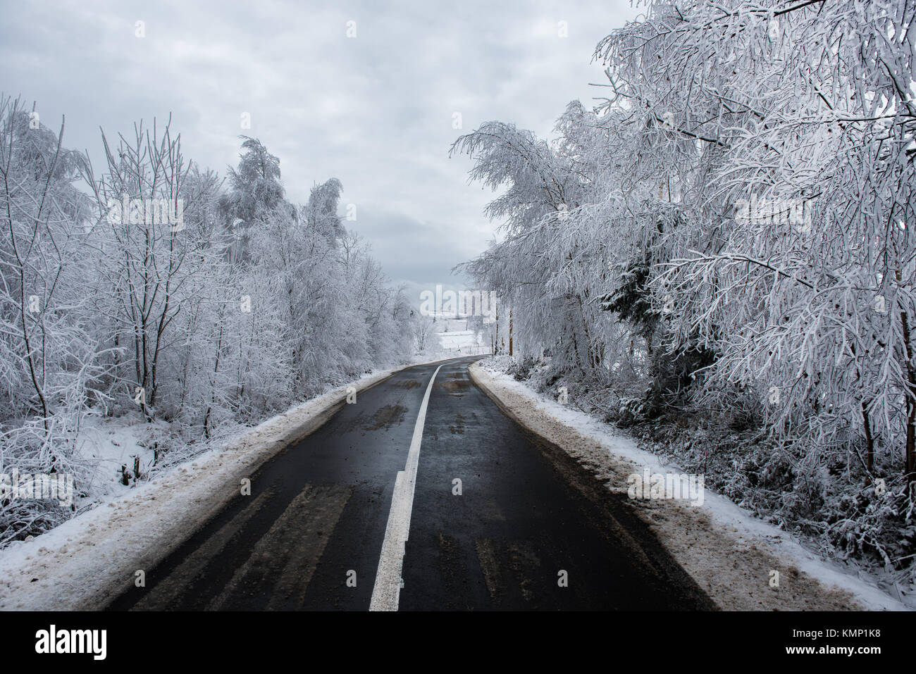 Asphalt winter road. Trees in the forest covered by snow Stock Photo ...