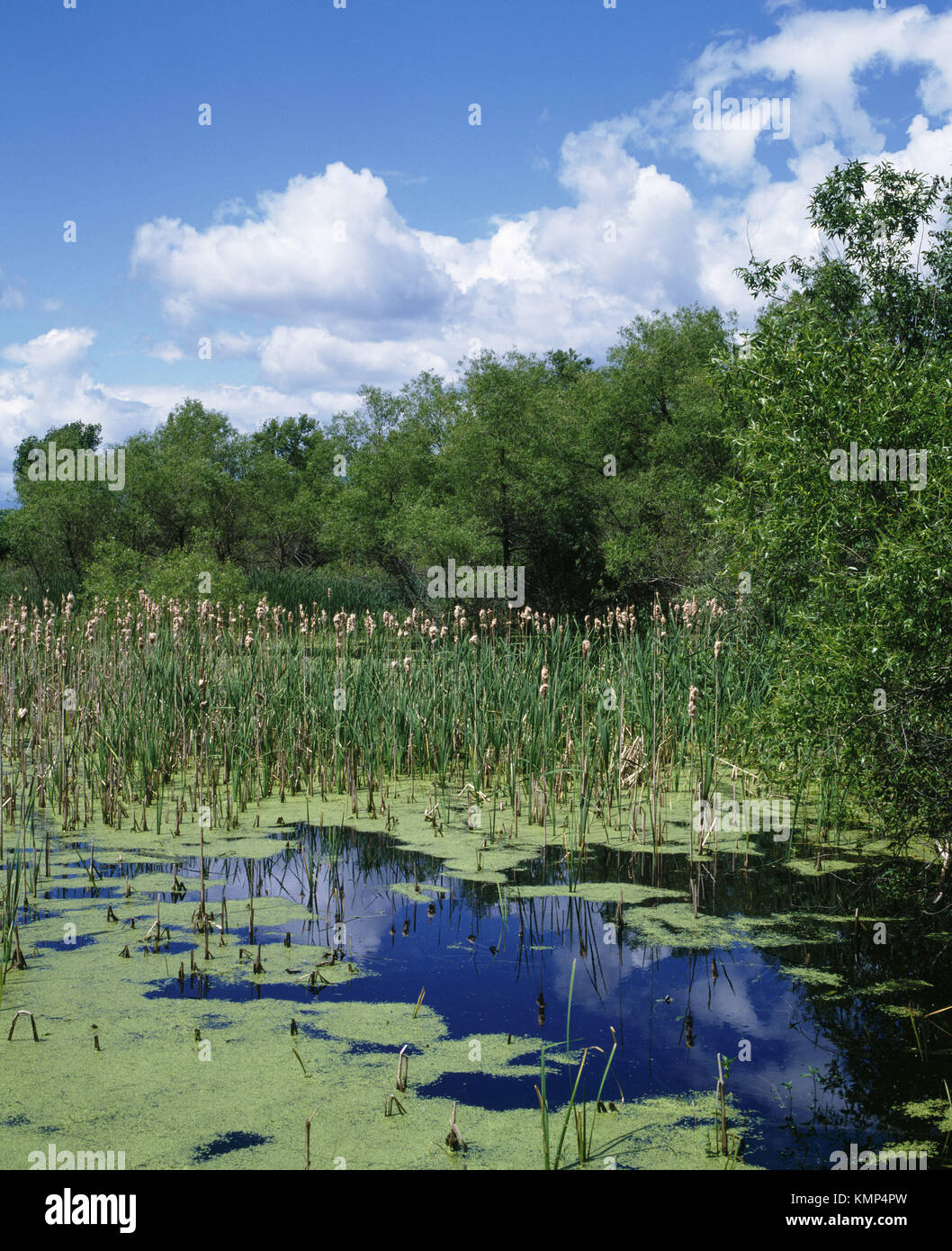 Sainte anne de bellevue hires stock photography and images Alamy