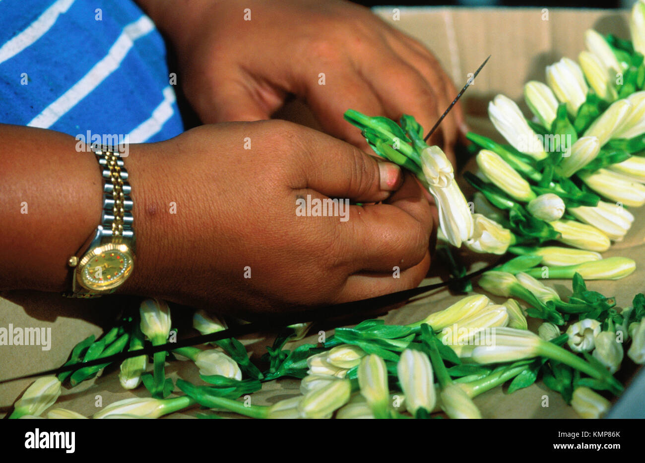 Close up of a woman making a crown with tiare tahiti flowers.Tahiti