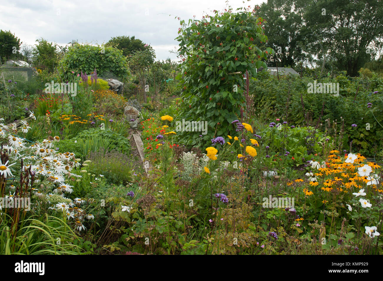 Allotment of mixed colourful flowers, vegetables and fruit creating a potager. London UK Stock Photo