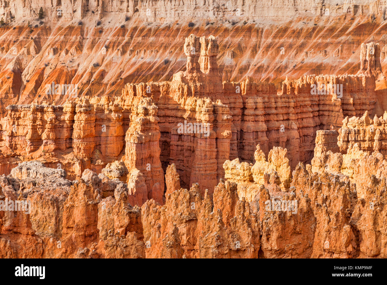 Some of the thousands of hoodoos which make Bryce Canyon such an awe inspiring place to visit. Stock Photo