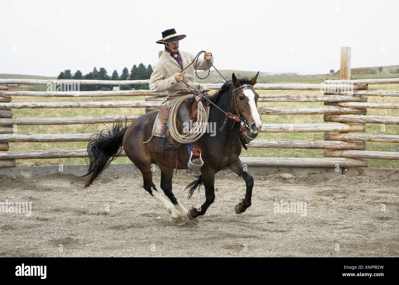 Horse undergoing training. Montana, USA Stock Photo Alamy