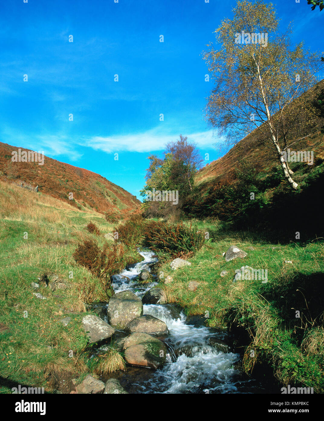 Clackmannshire hires stock photography and images Alamy