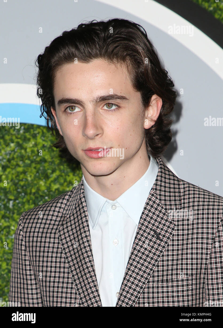 West Hollywood, United States. 07th Dec, 2017. Timothee Chalamet. 2017 ...