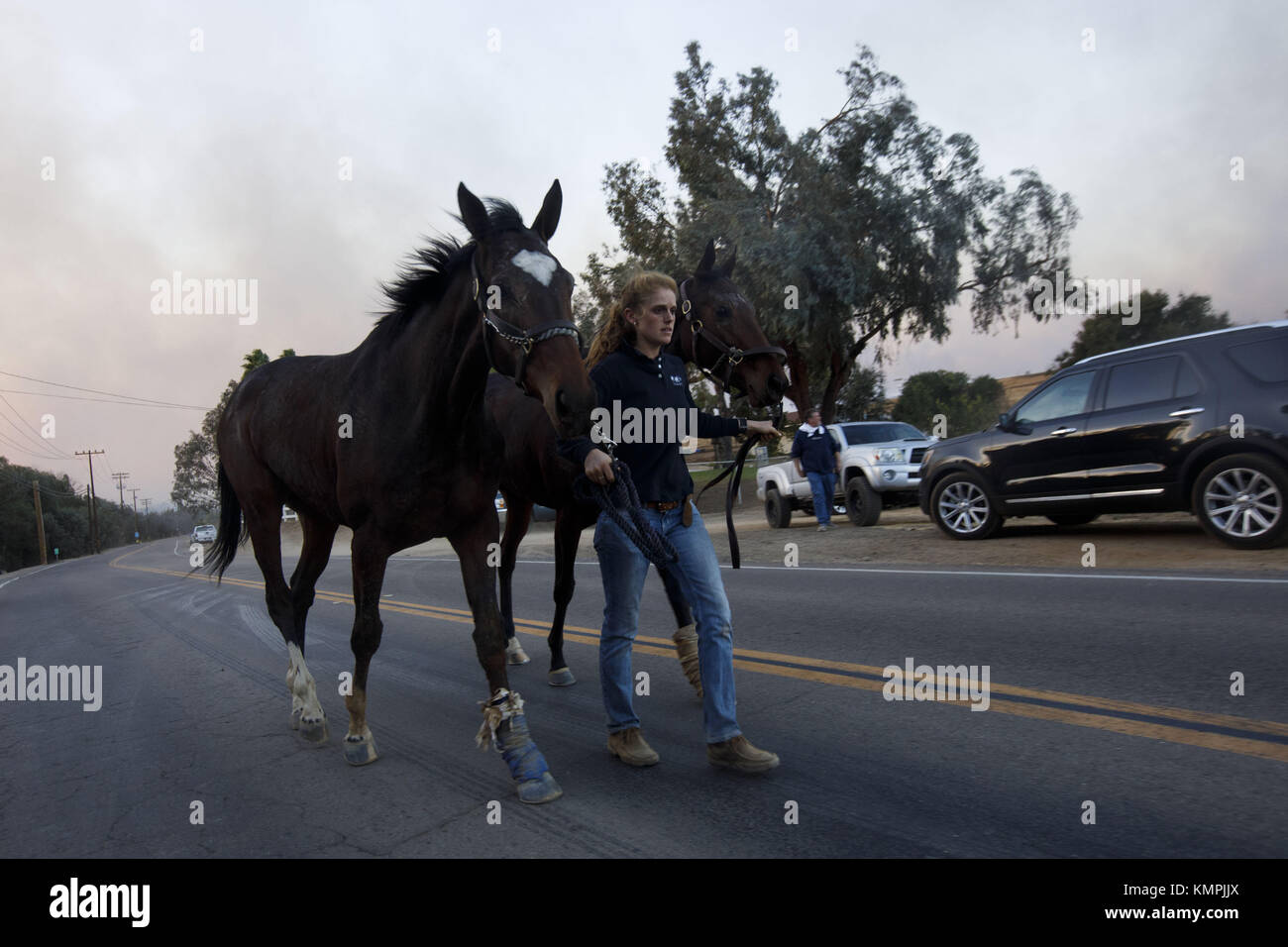 Bonsall, CA, USA. 7th Dec, 2017. A woman rescues horses during the ...