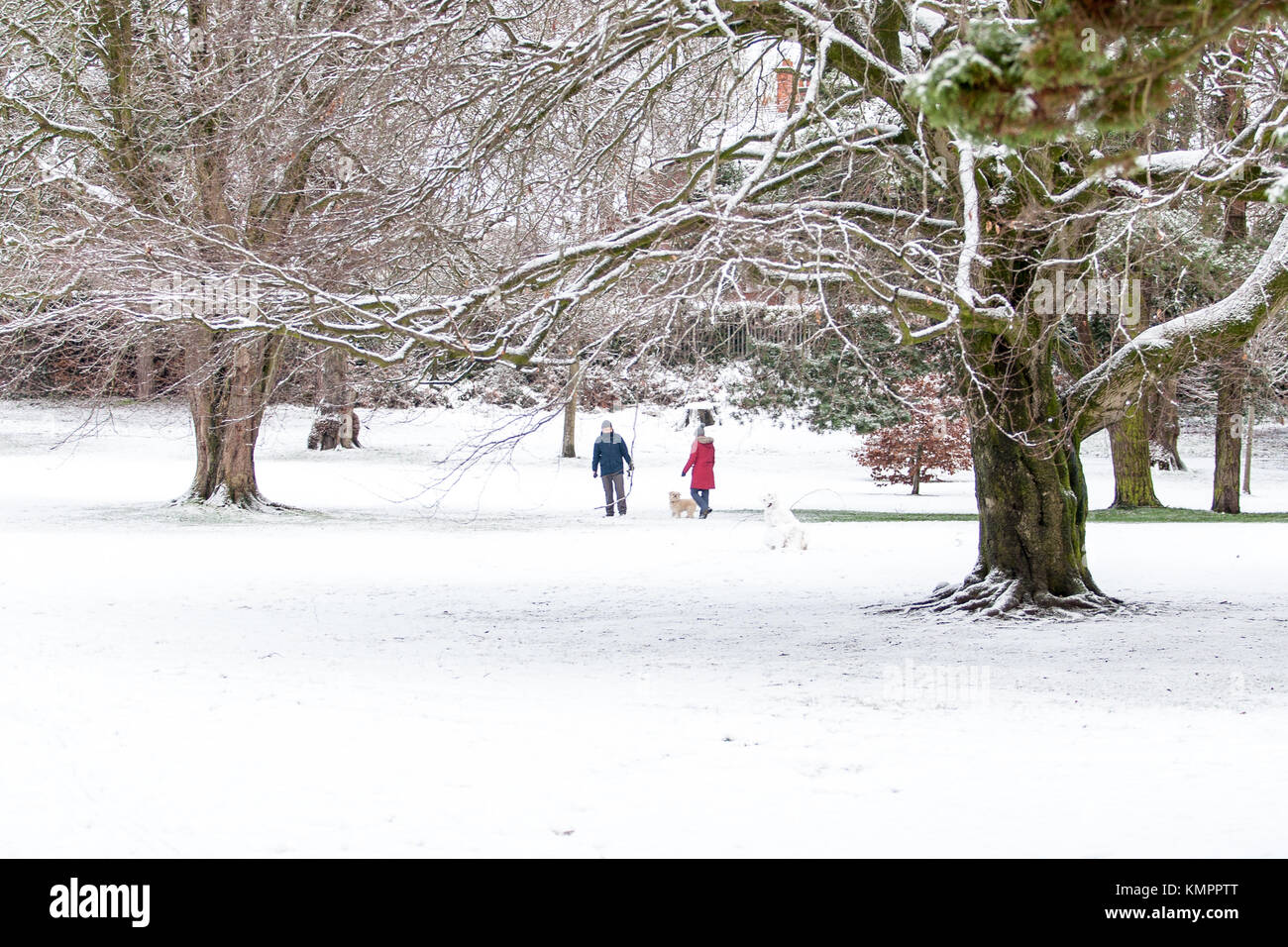 Lisburn, UK. 9th December, 2017. People taking their Dogs for a walk in