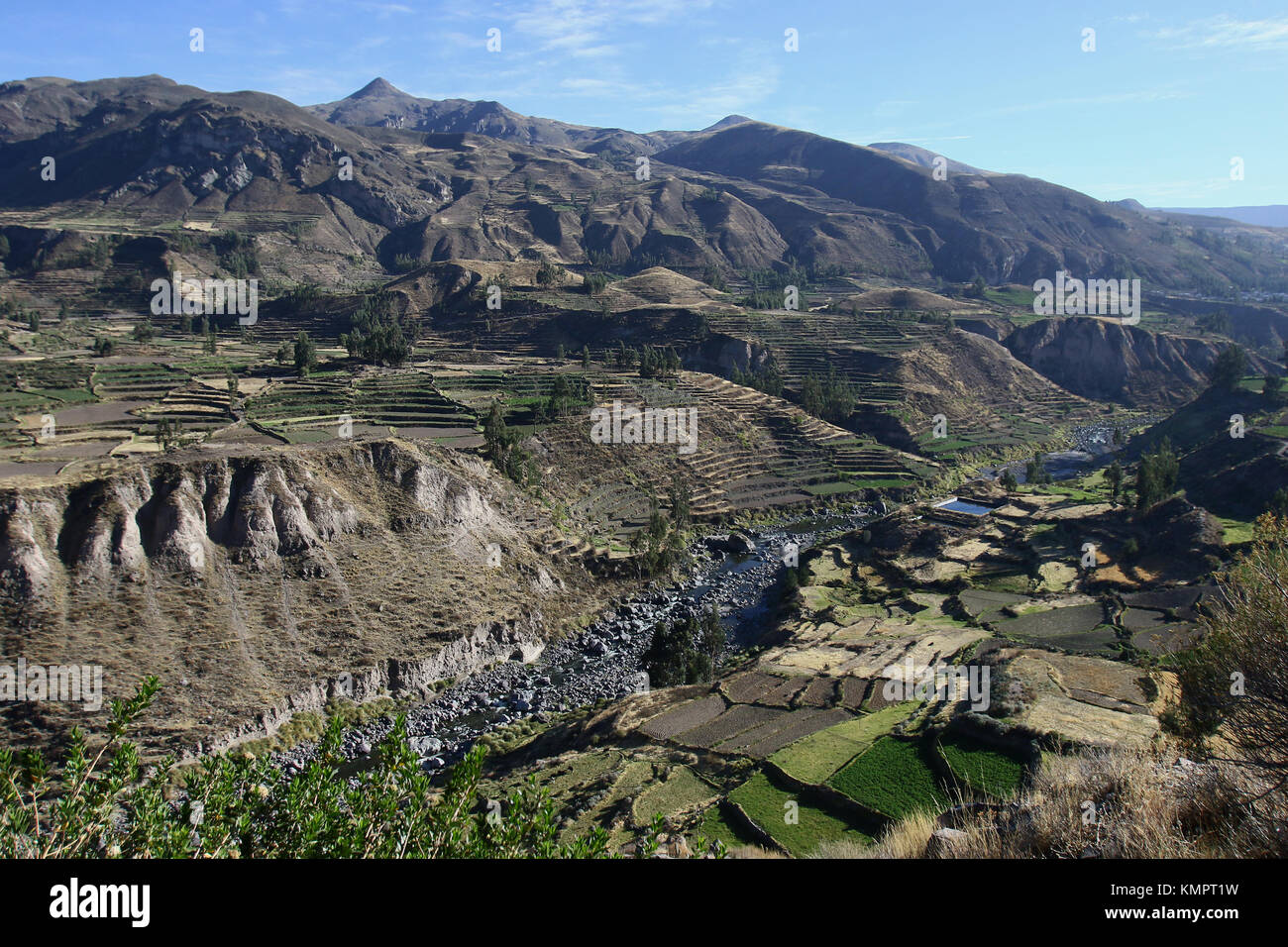Maca ( Peru) November, 18 th 2015; Landscape of the Colca Canyon in the Andes Cordilleras with terraced fields for crops. Credit: Sebastien Lapeyrere/Alamy Live News. Stock Photo