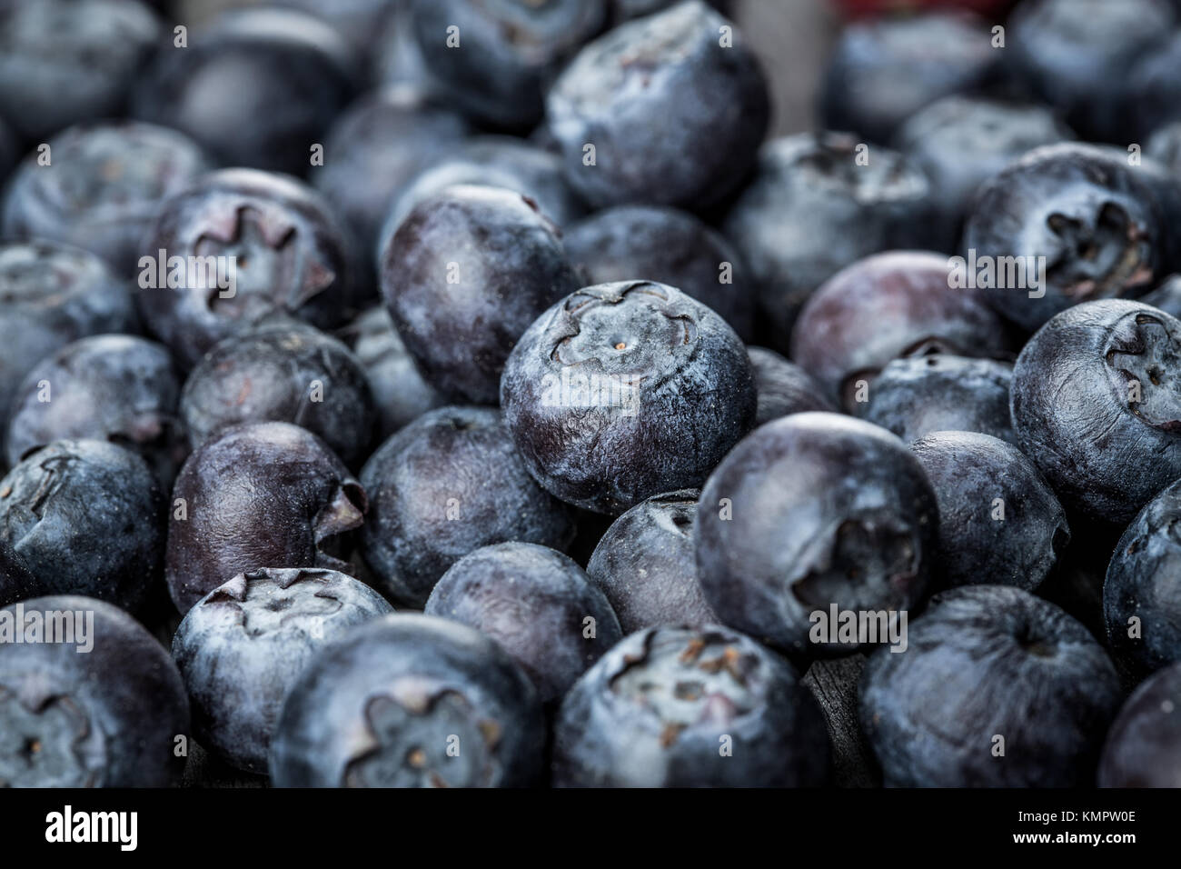 Fresh Berries - Blueberries background closeup Stock Photo - Alamy