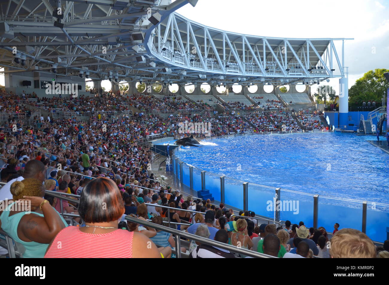 it is packed seaworld Show & Stock Photos Alamy Stock Shamu Show Shamu Images it is packed seaworld Show & Stock Photos Alamy Stock Shamu Show Shamu Images