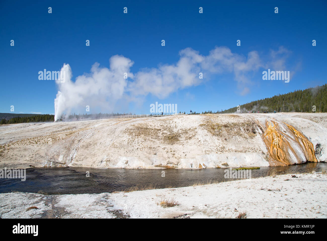 Cone geyser eruption in the Yellowstone national park, USA Stock Photo