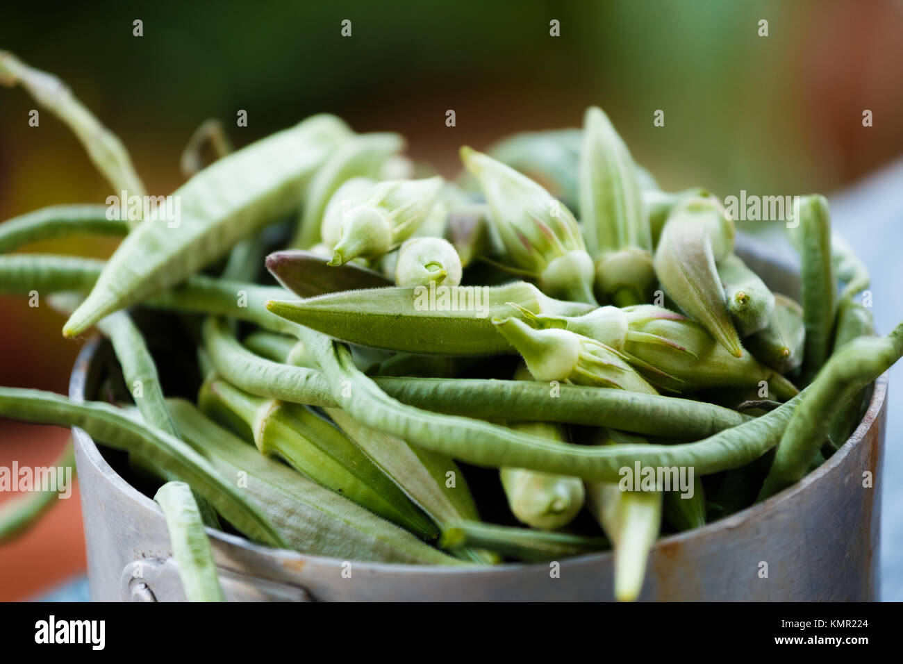 Okra and green beans in silver pot, in the afternoon shade, macro shot