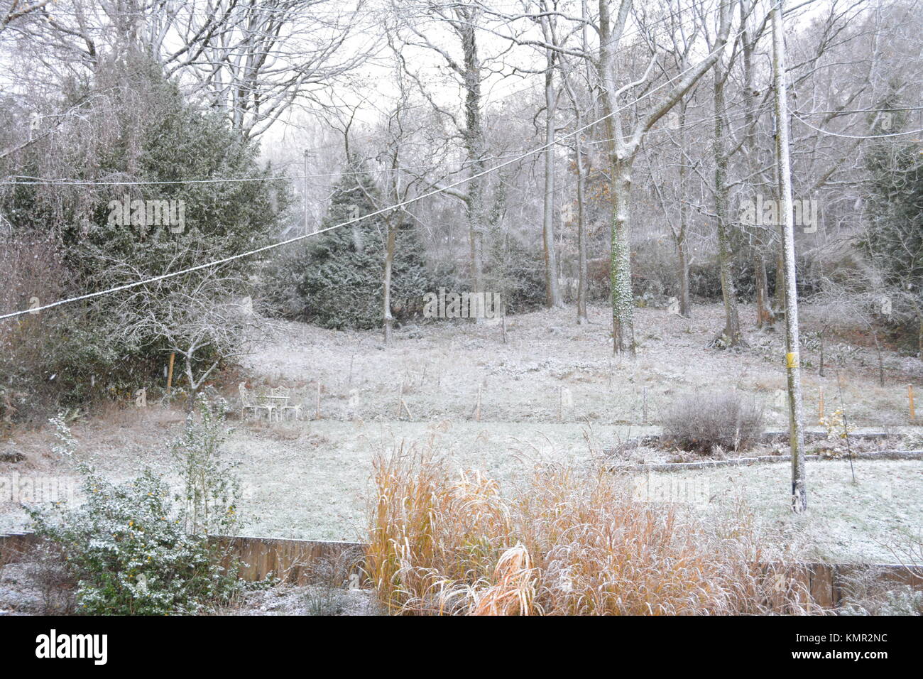 Large sloping garden in winter time with slight snow covering on lawn shrubs trees bushes and beds in south herefordshire england UK Stock Photo