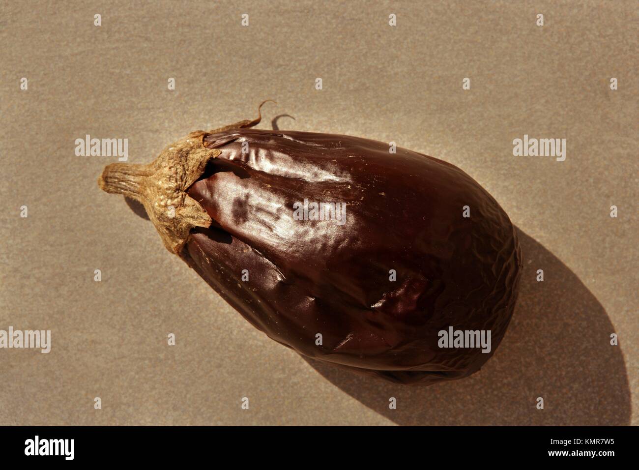 Eggplant rosted isolated on gray background with shadow Stock Photo Alamy