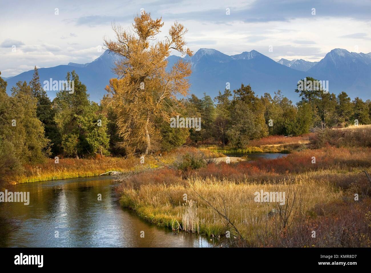 River Snow Mountains Fall Colors National Bison Range Charlo Montana