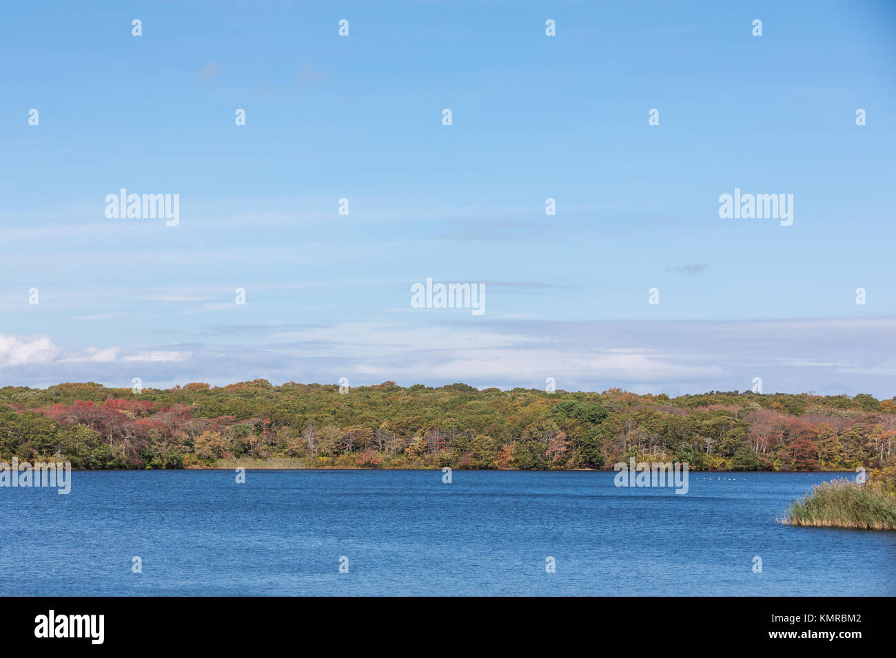 landscape with water in southampton ny Stock Photo