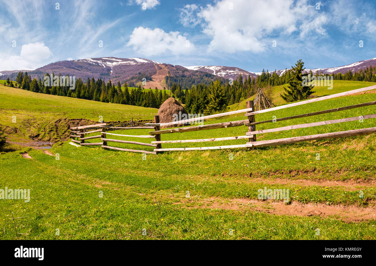 wooden fence along the dirt road on grassy hills of Carpathian alps. gorgeous springtime countryside with spruce forest and mountain ridge with snowy  Stock Photo
