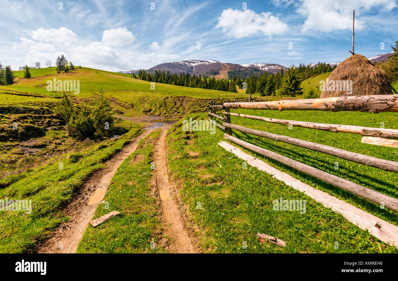 wooden fence along the dirt road on grassy hills of Carpathian alps. gorgeous springtime countryside with spruce forest and mountain ridge with snowy  Stock Photo