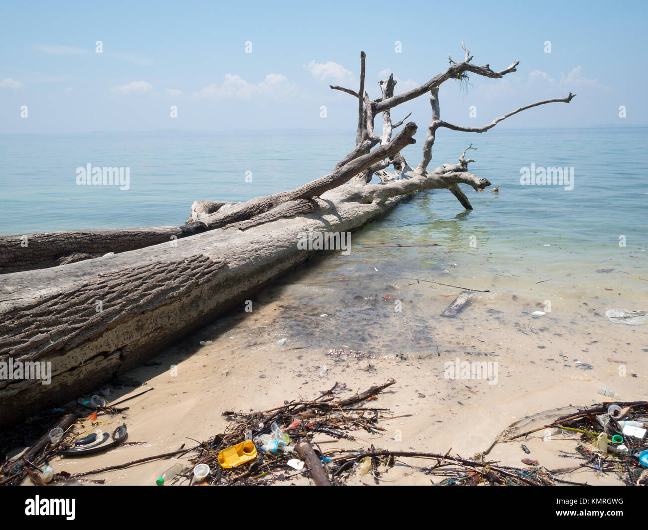 Plastic litter in the sea by a fallen tree in Elephant beach, Havelock Stock Photo