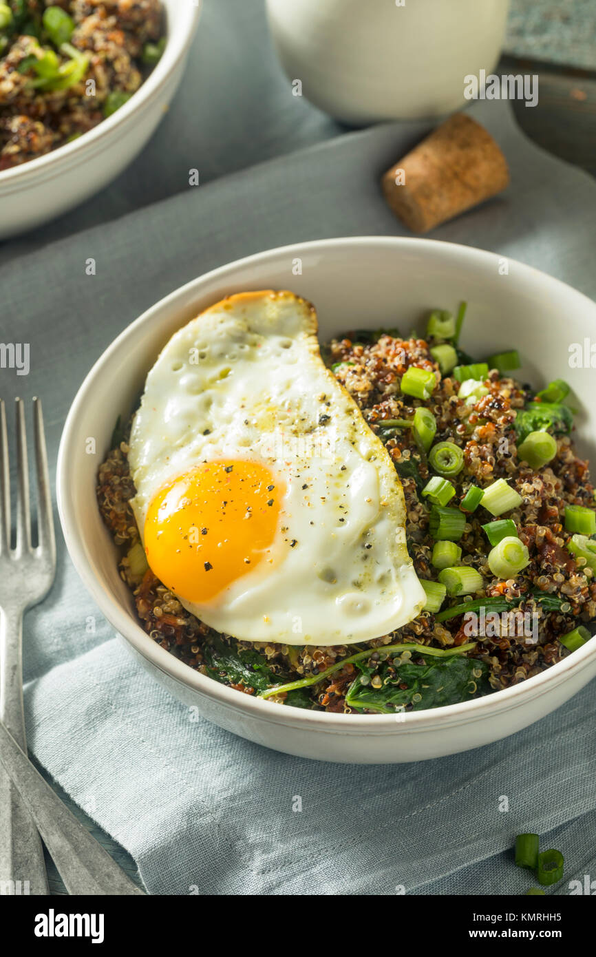 Healthy Organic Quinoa Breakfast Bowl with Onion and Egg Stock Photo Alamy