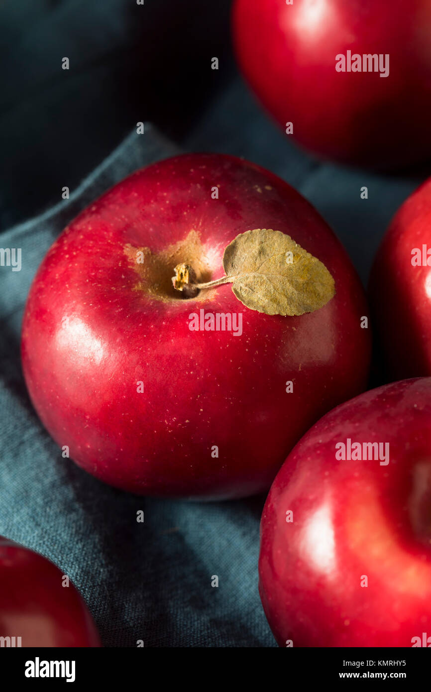 Macintosh apples hi-res stock photography and images - Alamy