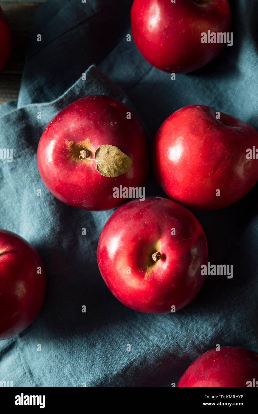Red Organic Macintosh Apples Ready to Eat Stock Photo Alamy