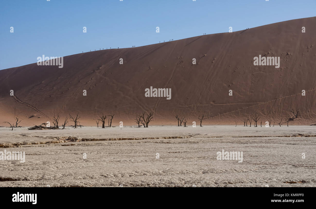 Tourists climbing a dune in the Namibian desert at Dead Vlei Stock ...