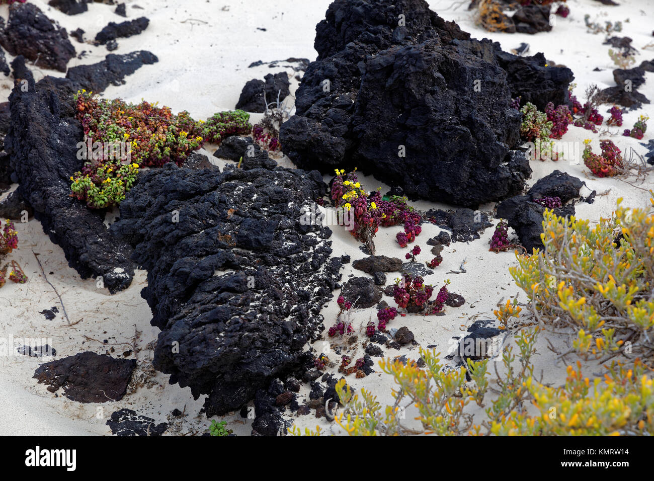 Caleta del Mojon Blanco, Lanzarote Stock Photo Alamy Caleta del Mojon Blanco, Lanzarote Stock Photo Alamy