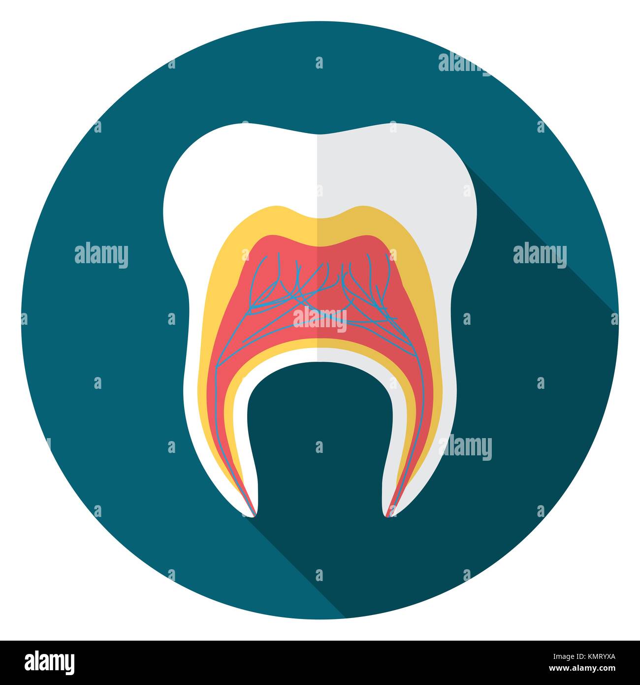 Flat design modern vector illustration of tooth icon with long shadow ...