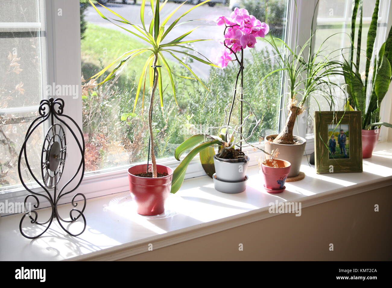 The flowers by the window Stock Photo Alamy