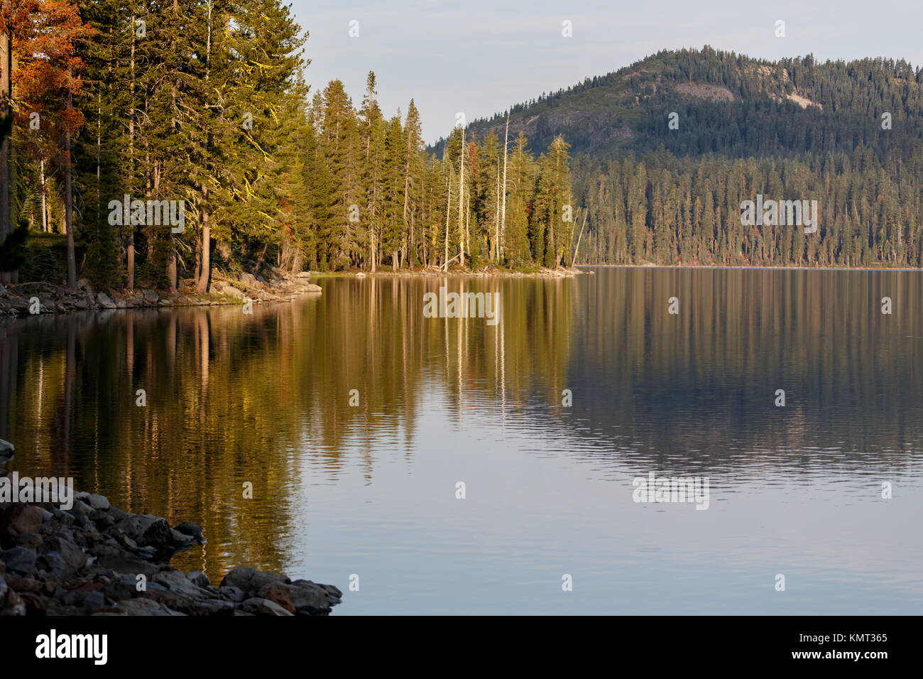 Placid shoreline of alpine lake with reflections of forest and mountains Stock Photo