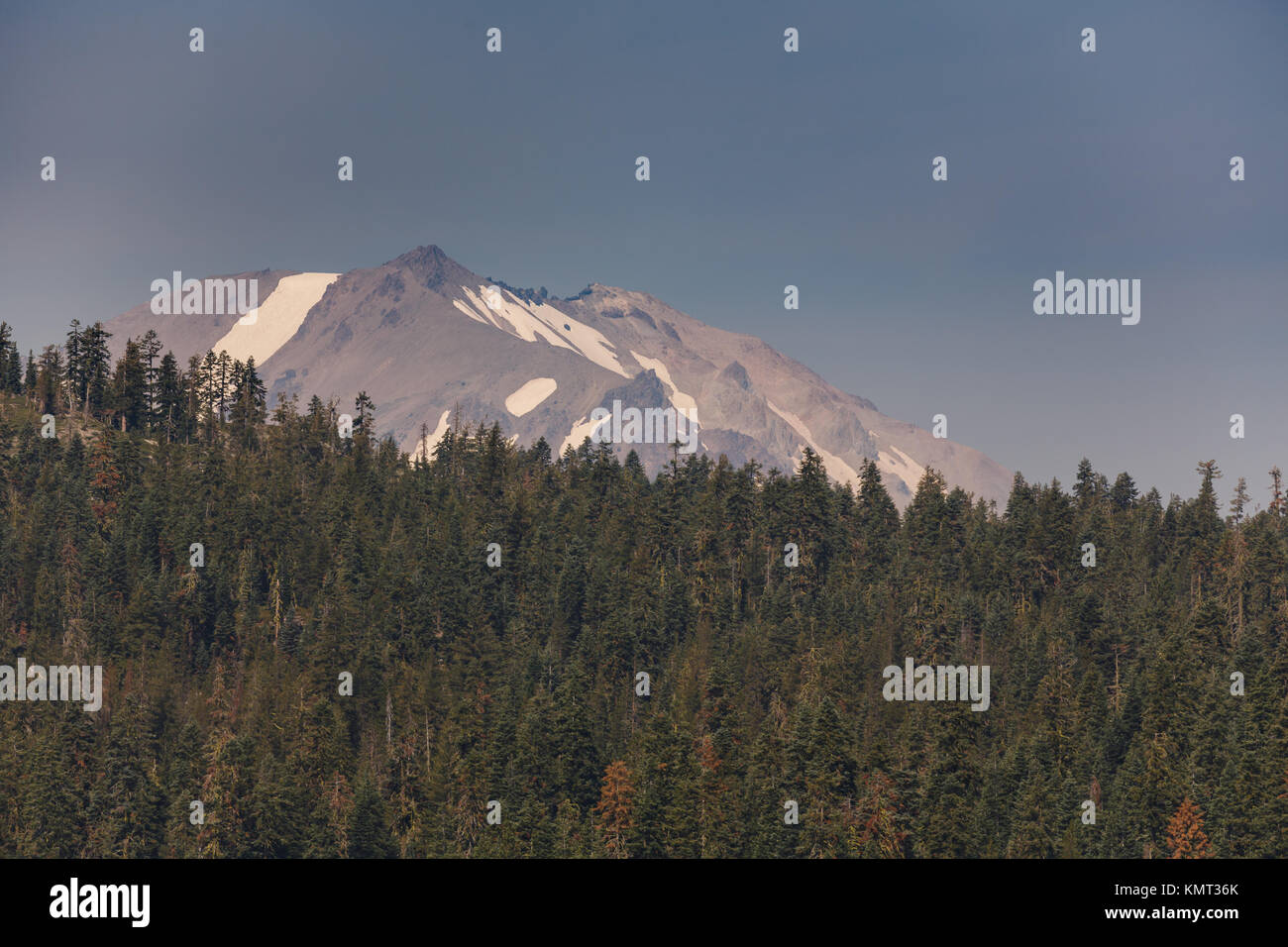 Snow capped volcano rises above Alpine forest in Lassen Volcanic National Park Stock Photo
